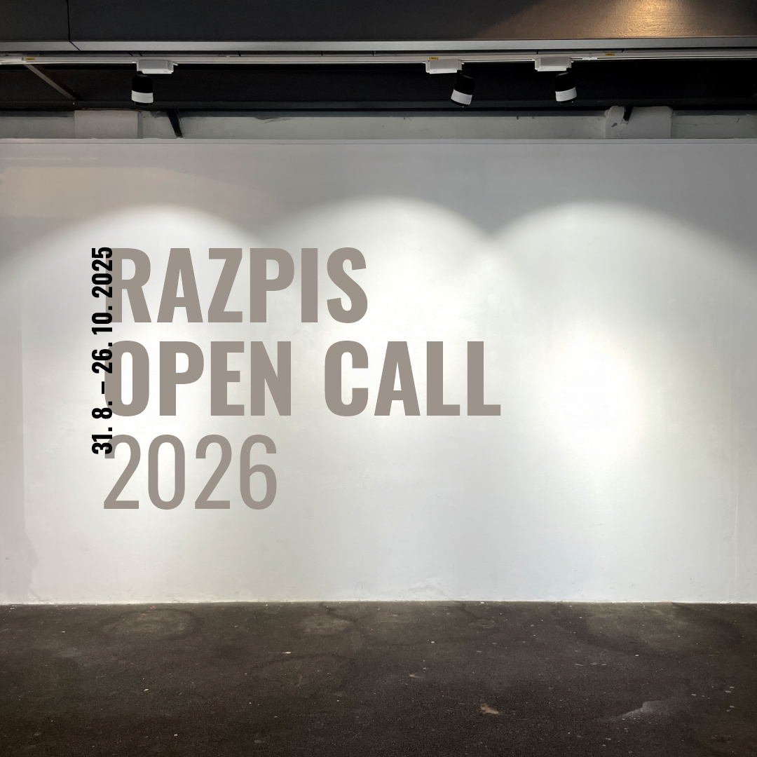 Razpis za razstavljanje v Galeriji Tir 2026 (Bando di concorso / Open call)