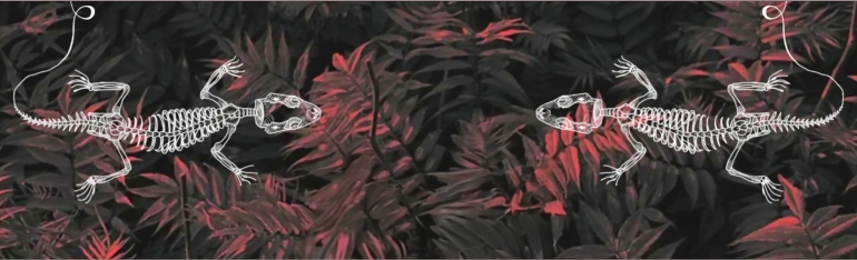 Marjetice, NightCrawler Tour + support FFFFC